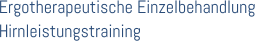 Ergotherapeutische Einzelbehandlung  Hirnleistungstraining
